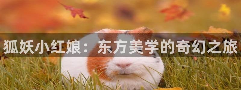 汗汗漫画完整版阅读：狐妖小红娘：东方美学的奇幻之旅配图