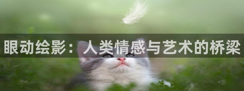 汗汗漫画大全热门推荐：眼动绘影：人类情感与艺术的桥梁配图