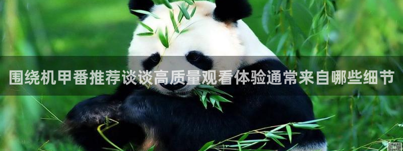 汗汗漫画大全免费阅读：围绕机甲番推荐谈谈高质量观看体验通常来自哪些细节配图