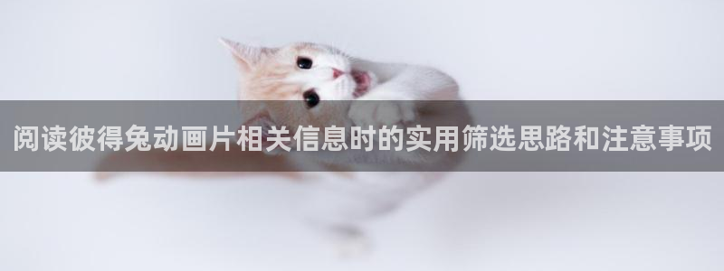 汗汗漫画中文版阅读:阅读彼得兔动画片相关信息时的实用筛选思路和注意事项配图
