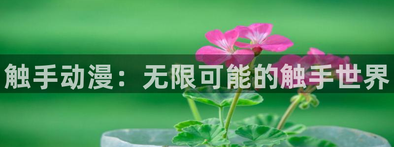 汗汗漫画中文在线阅读:触手动漫:无限可能的触手世界配图