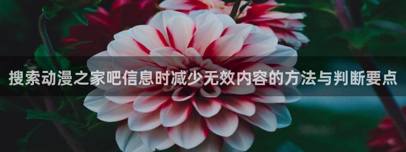 汗汗漫画本月推荐：搜索动漫之家吧信息时减少无效内容的方法与判断要点配图